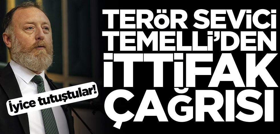 İyice tutuştular! Terör sevici Sezai Temelli’den ittifak çağrısı