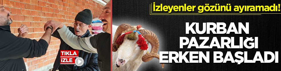 İzleyenler gözünü ayıramadı! Kurban pazarlığı erken başladı
