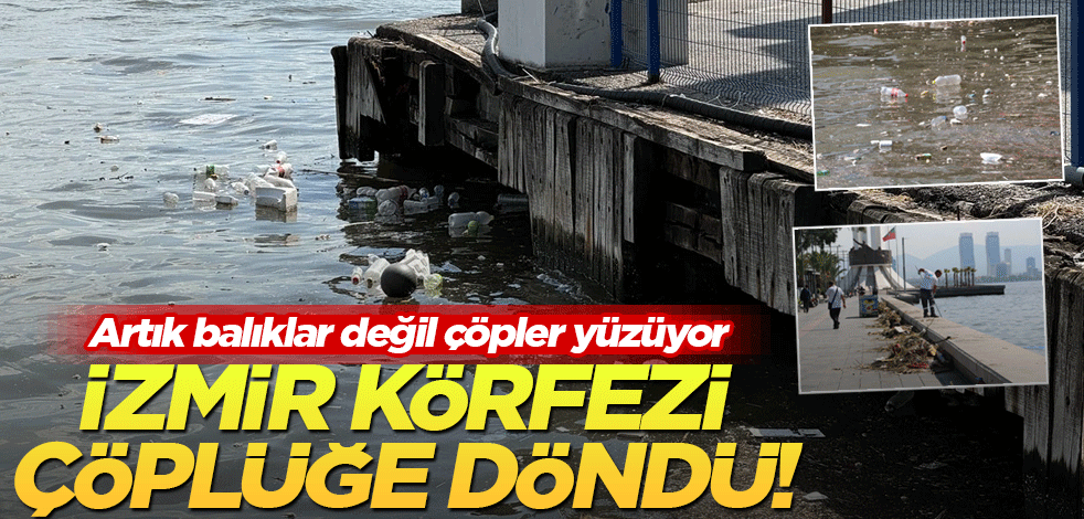 İzmir Körfezi çöplüğe döndü! Artık balıklar değil çöpler yüzüyor