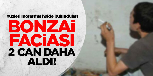 İzmir'de bonzai faciası: 2 ölü