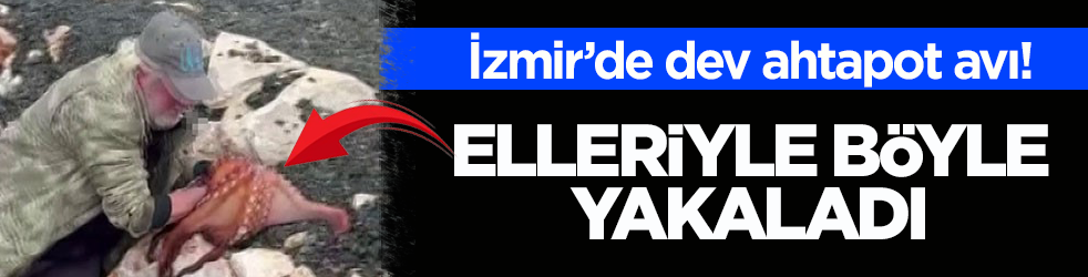 İzmir’de dev ahtapot avı! Elleriyle böyle yakaladı