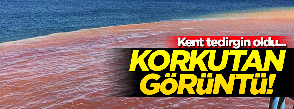 İzmir'de korkutan görüntü!