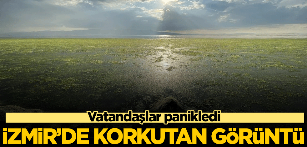 İzmir'de korkutan görüntü! Vatandaşlar panikledi