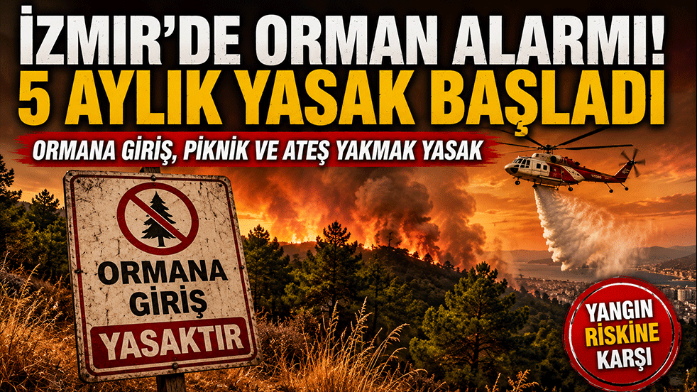 İzmir'de orman alarmı! Valilik 5 aylık yasak kararı aldı