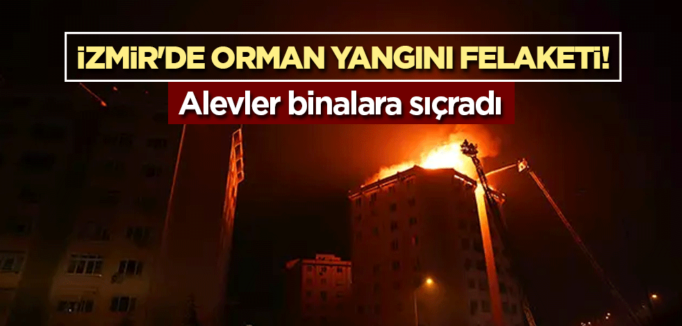 İzmir'de orman yangını felaketi! Alevler binalara sıçradı