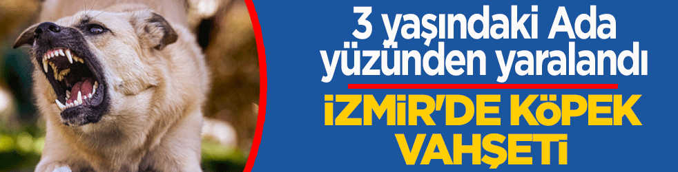 İzmir’de komşu köpeği dehşeti! 3 yaşındaki Ada’nın yüzünü parçaladı