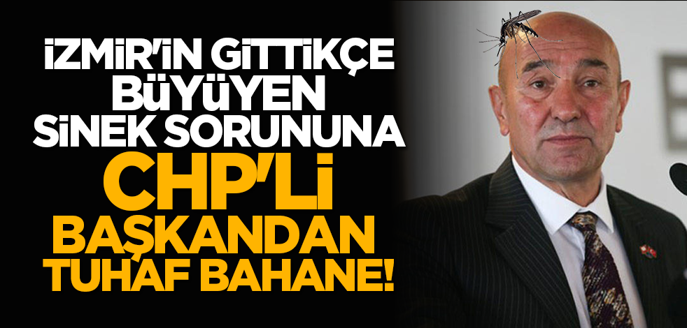 İzmir'in gittikçe büyüyen sinek sorununa CHP'li başkandan tuhaf bahane!