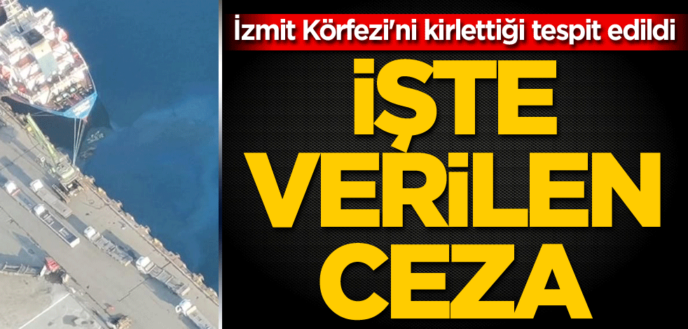 İzmit Körfezi'ni kirlettiği tespit edildi! İşte verilen ceza
