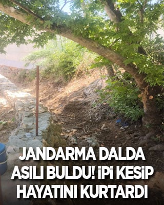 Jandarma dalda asılı buldu, ipi kesip hayatını kurtardı