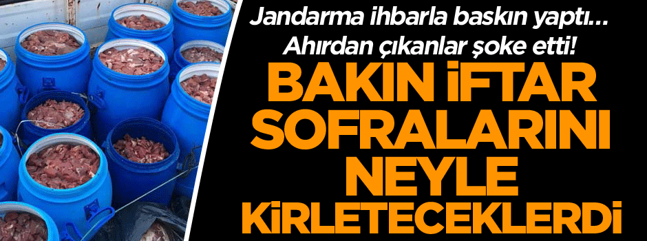 Jandarma ihbarla baskın yaptı… Ahırdan çıkanlar şoke etti! Bakın iftar sofralarına ne getireceklerdi…