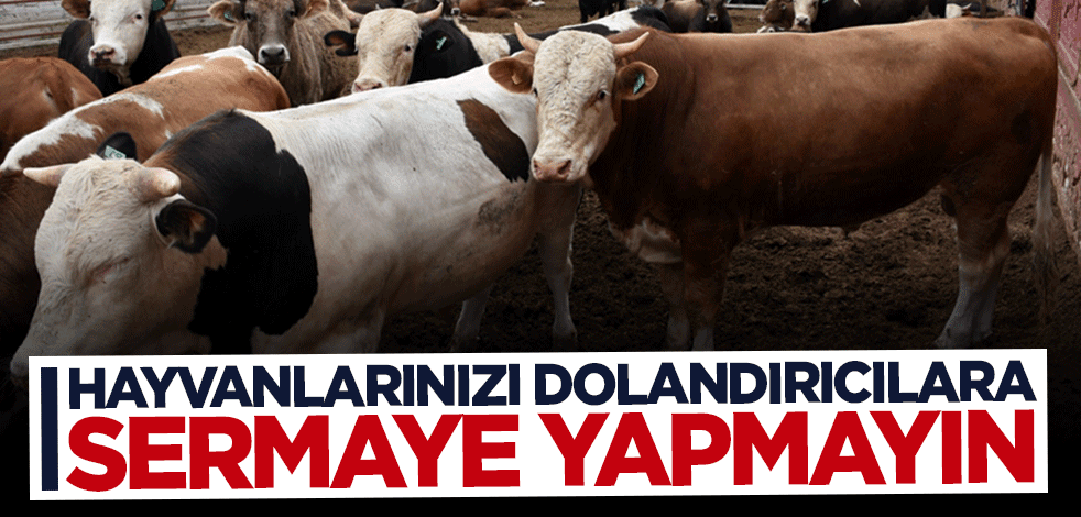 Jandarmadan uyarı: Hayvanlarınızı dolandırıcılara sermaye yapmayın