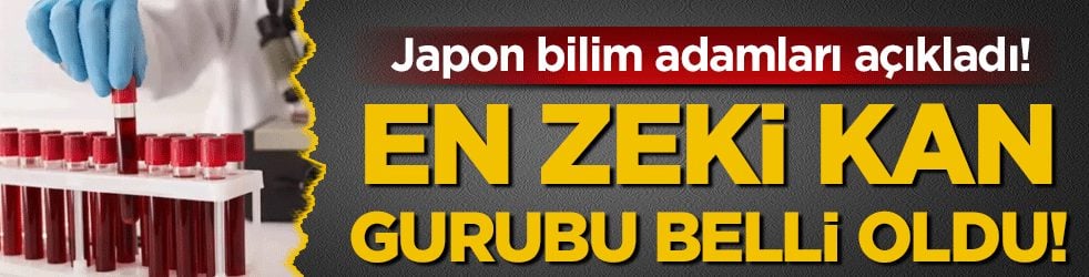 Japon bilim adamları açıkladı: En zeki kan grubu belli oldu!