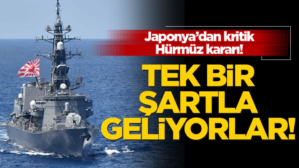 Japon ordusu, mayın temizliği için bölgeye inebilir