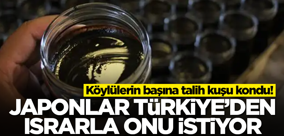 Japonya Türkiye'den ısrarla onu istiyor! Köylülerin başına talih kuşu kondu