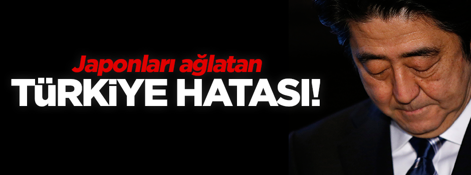 'Japonya, Türkiye'den yardım istemeliydi'
