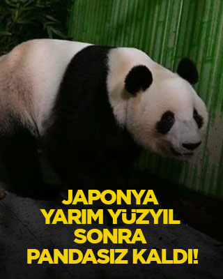 Japonya yarım yüzyıl sonra pandasız kaldı!