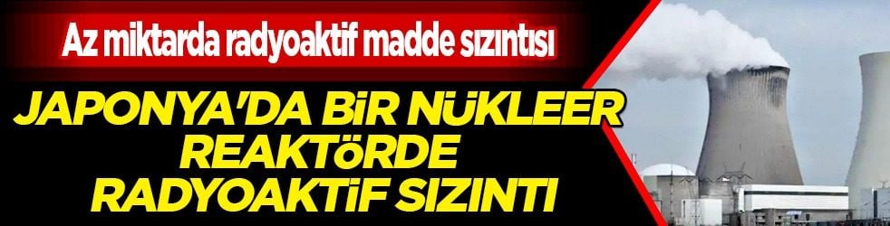 Japonya'da bir nükleer reaktörde radyoaktif sızıntı: Askıya aldılar! Faaliyetler geçici olarak durduruldu