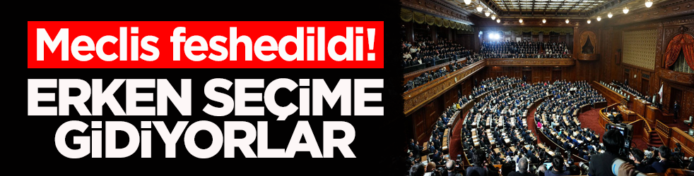 Japonya'da Meclis feshedildi! Erken genel seçim tarihi belli oldu