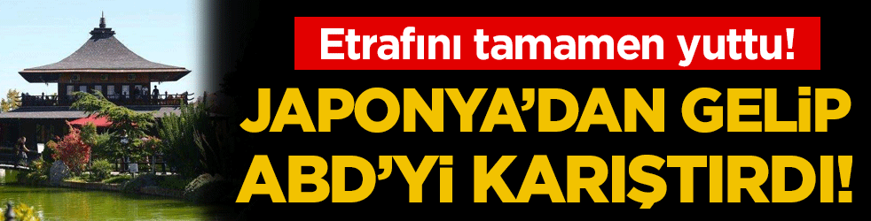 Japonya'dan gelip ABD'yi karıştırdı: Etrafını tamamen yuttu!
