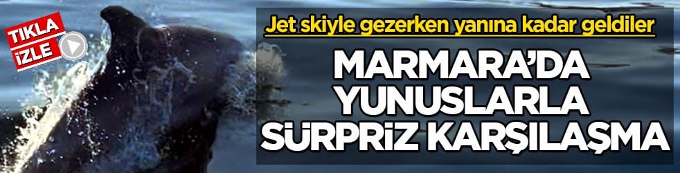 Jet skiyle gezerken yanına kadar geldiler! Marmara’da yunuslarla sürpriz karşılaşma