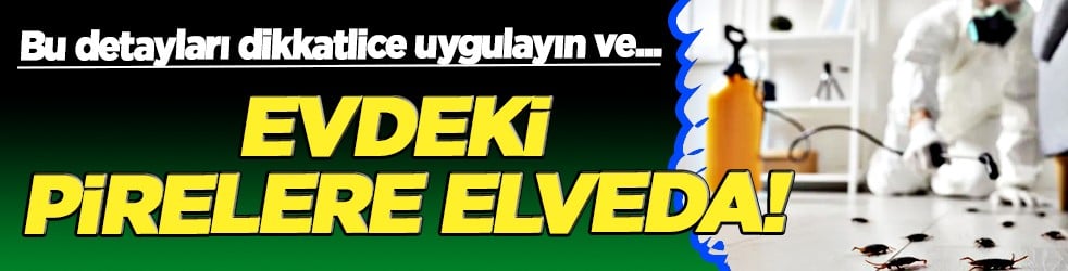 Kabustan uyanın: Evdeki pirelere elveda! Kimyasal kullanmadan doğal yollarla...