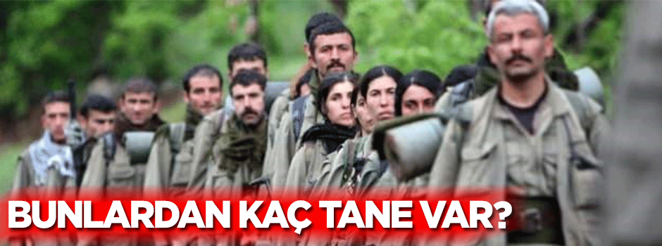 Kaç tane PKK'lı terörist var?