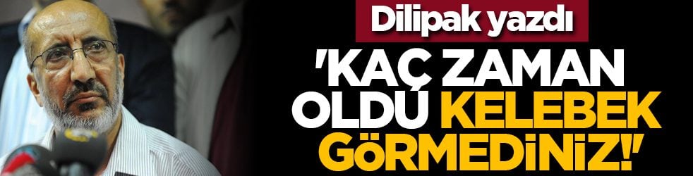 Dilipak yazdı: 'Kaç zaman oldu kelebek görmediniz!'