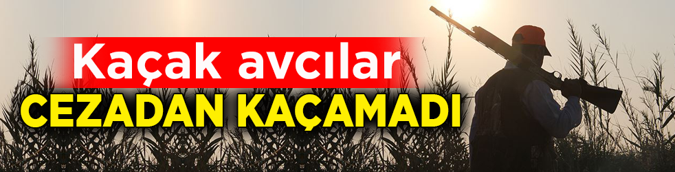 Kaçak avcılar cezadan kaçamadı!