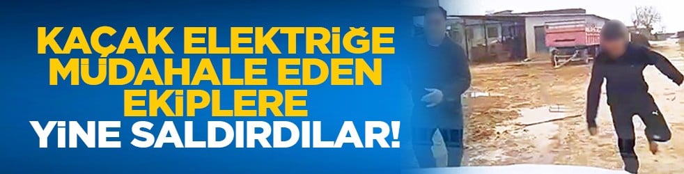 Kaçak elektriğe müdahale eden ekiplere yine saldırdılar!