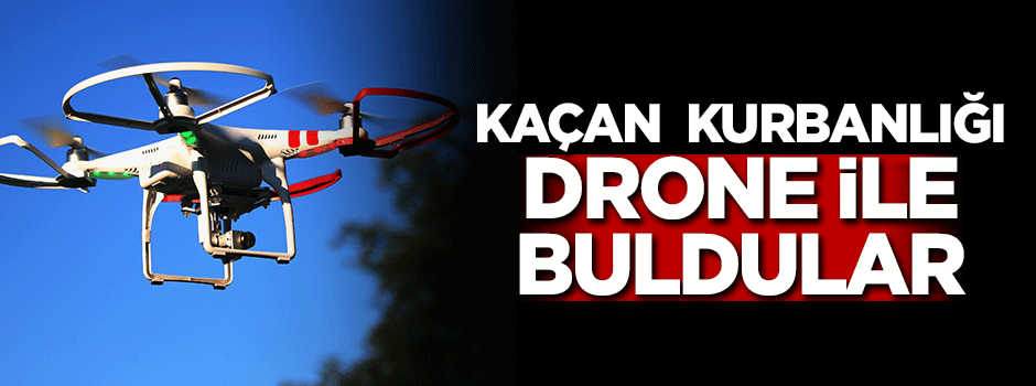 Elazığ'da kaçan kurbanları drone ile buldular