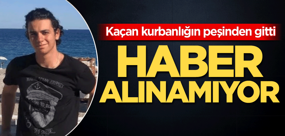 Kaçan kurbanlığın peşinden gitti! Haber alınamıyor