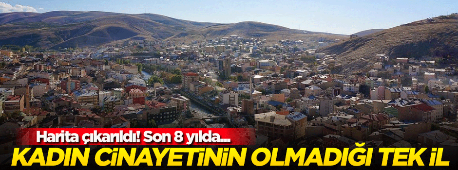 Kadın cinayetinin işlenmediği tek şehir belli oldu