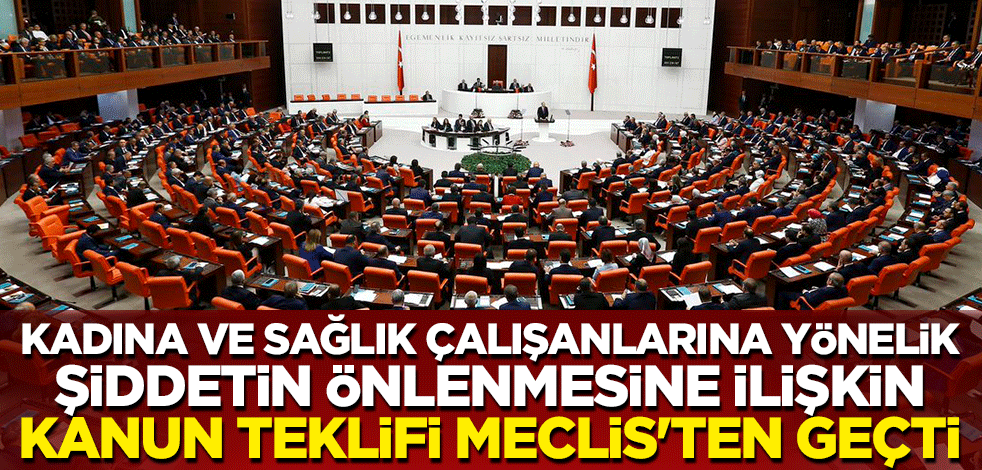 Kadına ve sağlık çalışanlarına yönelik şiddetin önlenmesine ilişkin kanun teklifi Meclis'ten geçti