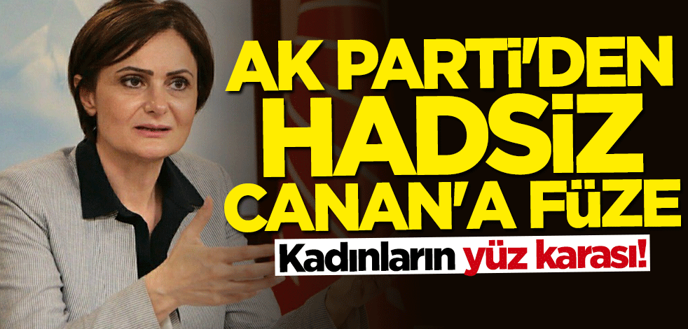 Kadınların yüz karası! AK Parti'den hadsiz Canan'a füze