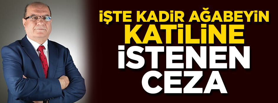 Kadir ağabeyi öldüren katilin müebbet hapsi istendi!