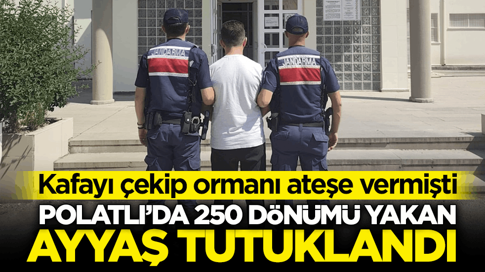 Kafayı çekip ormanı ateşe vermişti! Polatlı’da 250 dönümü yakan ayyaş tutuklandı