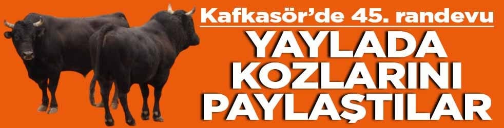 Kafkasör'de 45. randevu Yaylada kozlarını paylaştılar