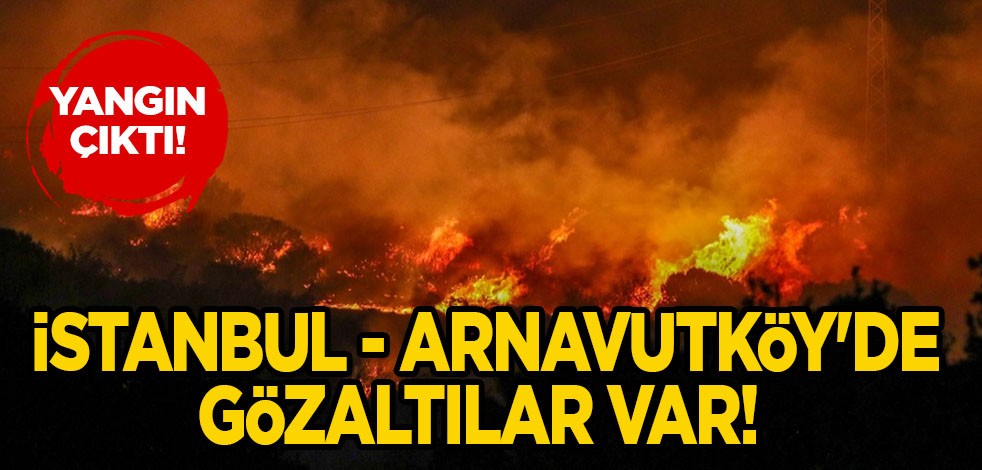 Kahreden görüntü! Taraftarların havai fişekli kutlamasında orman sahasında yangın çıktı; 5 gözaltı var