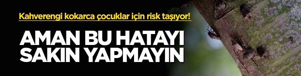Kahverengi kokarca çocuklar için risk taşıyor! Aman bu hatayı sakın yapmayın