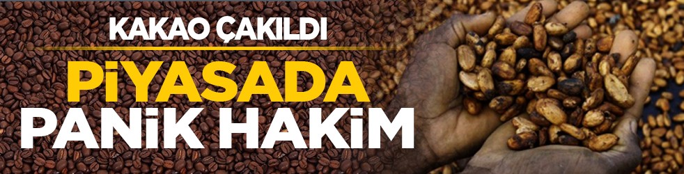 Kakao çakıldı:Piyasada panik hakim