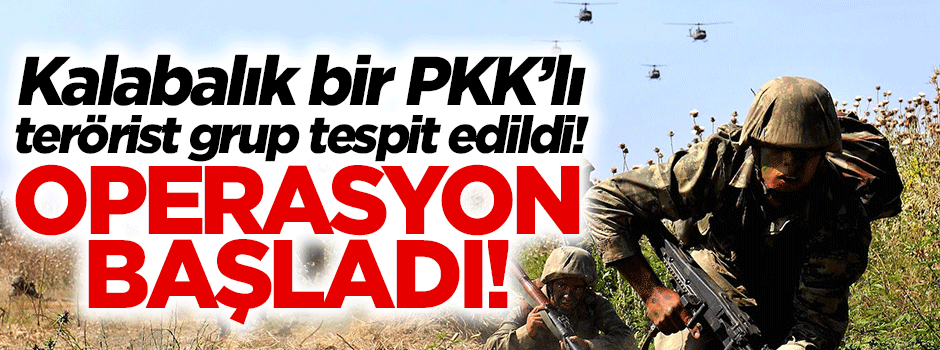 Kalabalık PKK'lı grup tespit edildi, operasyon başladı