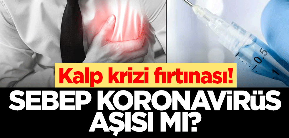 'Kalp krizi fırtınası' Artışa koronavirüs aşısı mı sebep oldu?