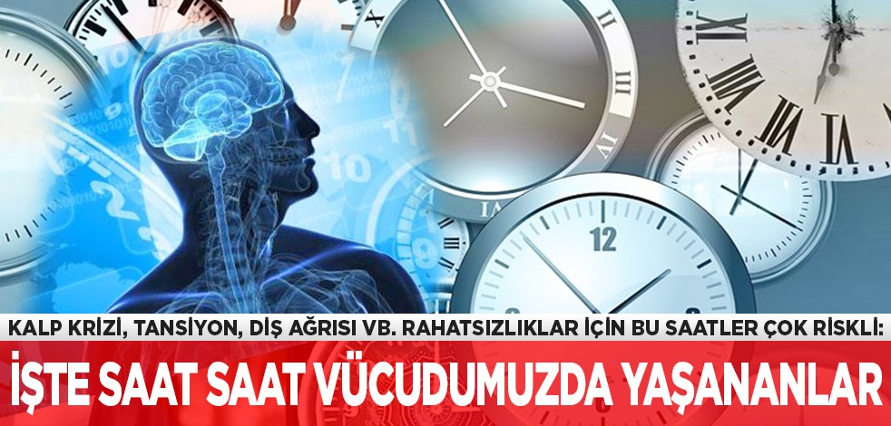 Kalp krizi, tansiyon, diş ağrısı vb. rahatsızlıklar için bu saatler çok riskli: İşte, saat saat vücudumuzda yaşananlar