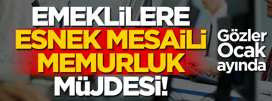 Kamu ve özel sektör emeklilerine "esnek mesaili memurluk" müjdesi! Gözler Ocak ayında