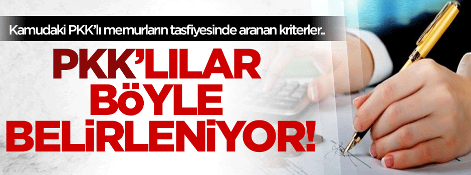 Kamuda yuvalanan PKK'lılar nasıl belirleniyor?
