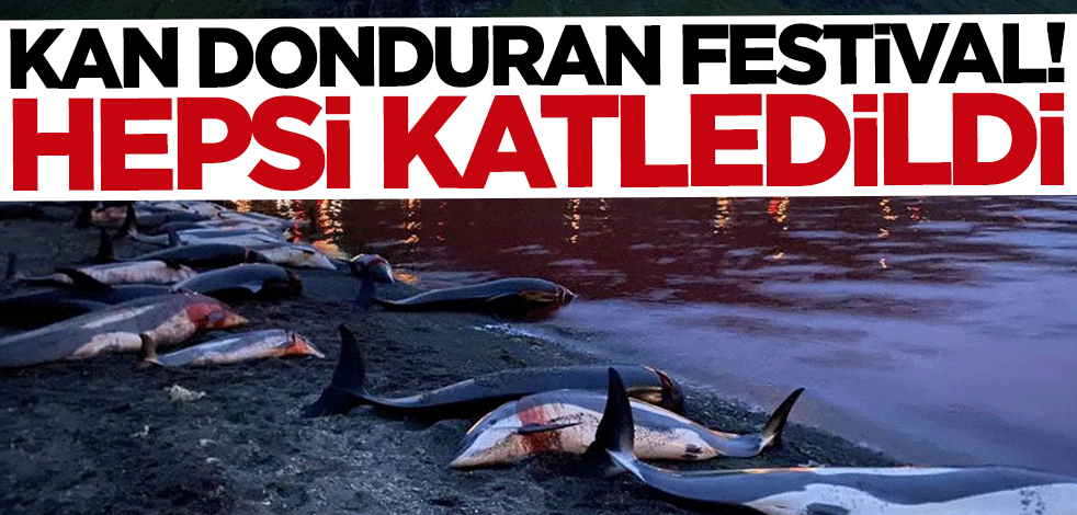 Kan donduran festival... Hepsi katledildi