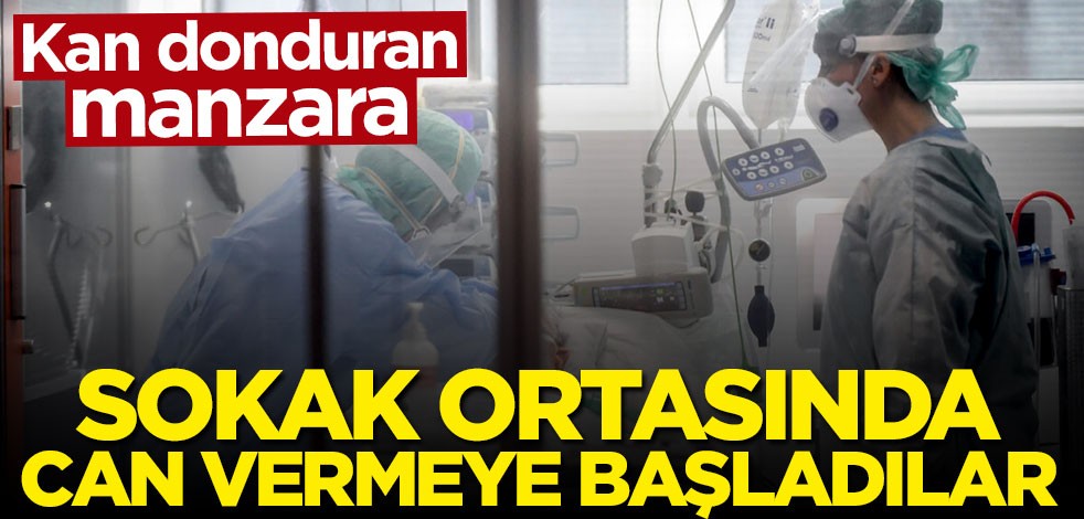 Kan donduran manzara! Sokak ortasında can vermeye başladılar