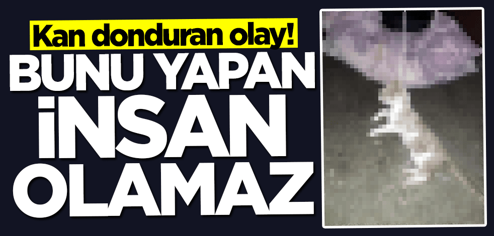 Kan donduran olay! Bunu yapan insan olamaz
