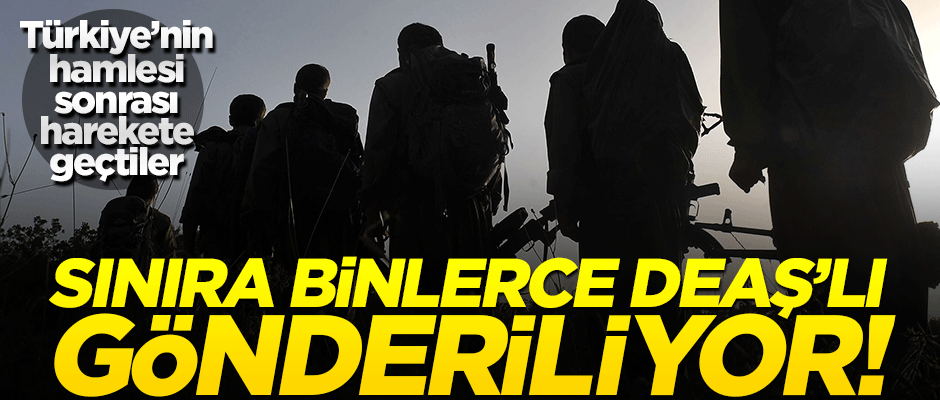 Kan donduran plan! Sınıra 6 bin DEAŞ'lı terörist yığılıyor
