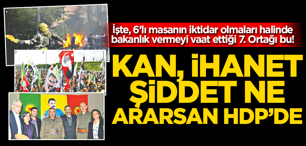 Kan, ihanet, şiddet ne ararsan HDP’de